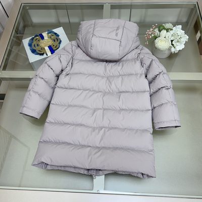 Arc'teryx Down Jacket with Hood — 9