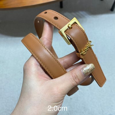 YSL Belt — 5