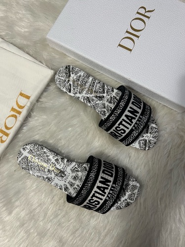 Dior Dway Plan de Paris edition slides
