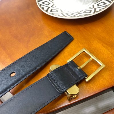 YSL Belt — 6