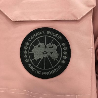 Canada Goose Expedition Parka — 5