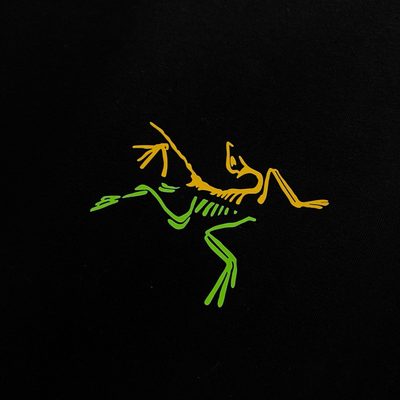 Arc'teryx Kragg SL Cotton T-shirt — 7