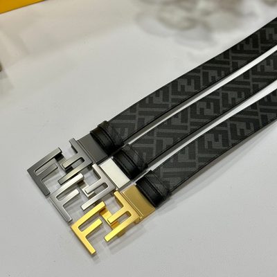 Fendi Belt — 9
