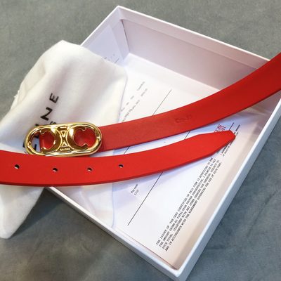 Celine Belt — 5