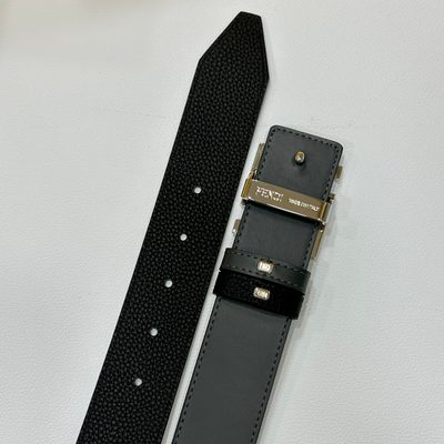 Fendi Belt — 8