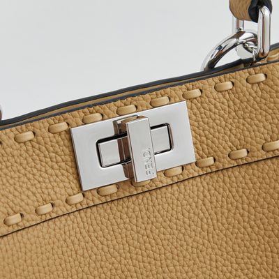 Fendi Peekaboo ISeeU Petite bag (T) — 5