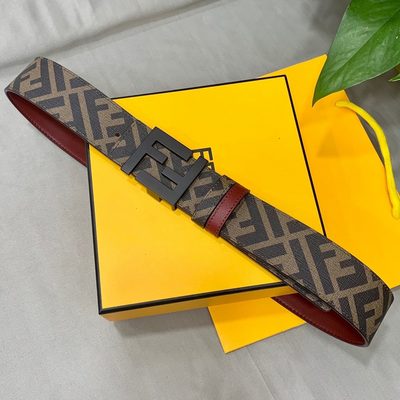 Fendi Belt — 6