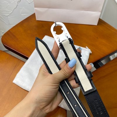 Celine Belt — 4