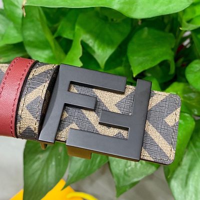 Fendi Belt — 8