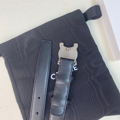 Celine Belt — 6