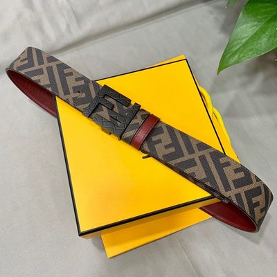 Fendi Belt — 6