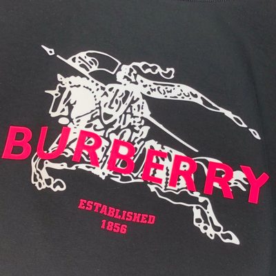 Burberry sweatshirt — 6