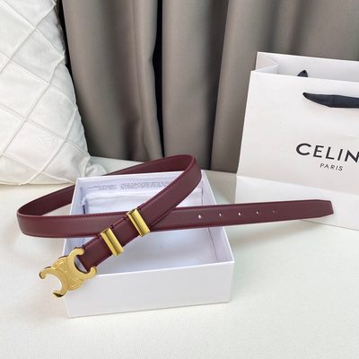 Celine Belt — 3