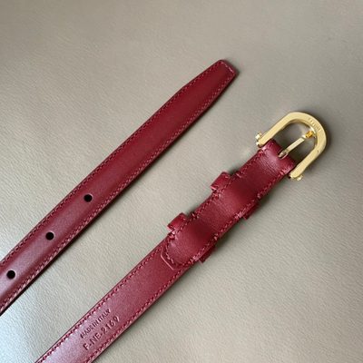 Celine Belt — 4