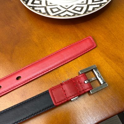 YSL Belt — 6