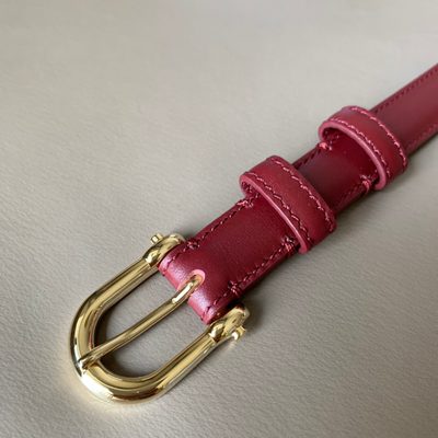 Celine Belt — 5