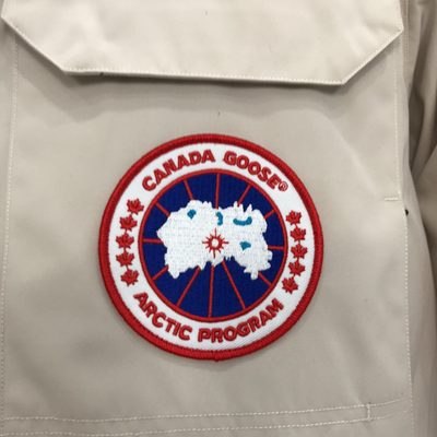 Canada Goose Women's Expedition Parka — 5