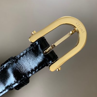 Celine Belt — 3