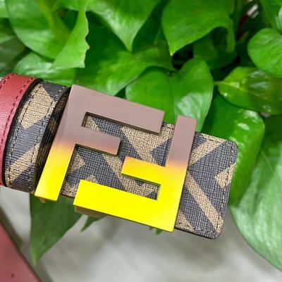 Fendi Belt — 8
