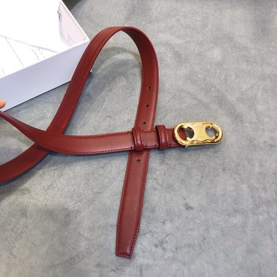 Celine Belt — 6