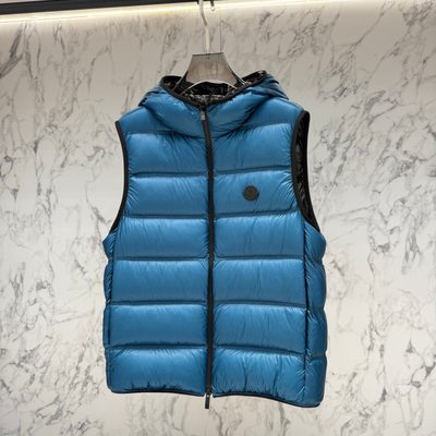 Moncler Panestrel Down Gilet — 7