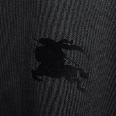Burberry T-shirt — 4