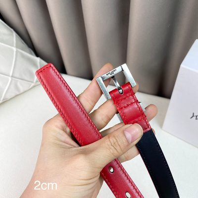 YSL Belt — 5