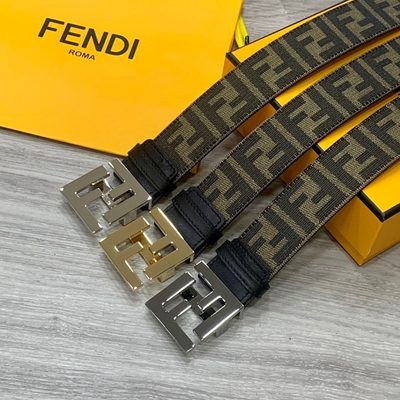 Fendi Belt — 8