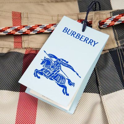 Burberry check swim shorts — 10