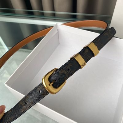 Celine Belt — 3