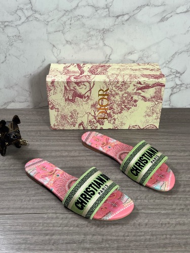 Christian Dior Dway canvas slides