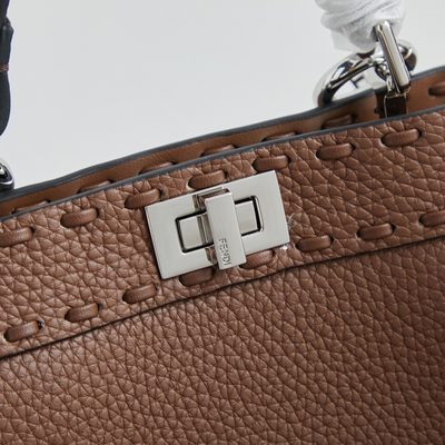 Fendi Peekaboo ISeeU Petite bag (T) — 4