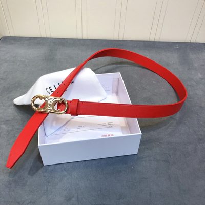 Celine Belt — 3