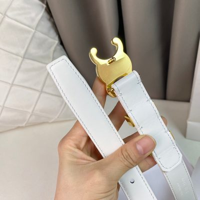 Celine Belt — 6