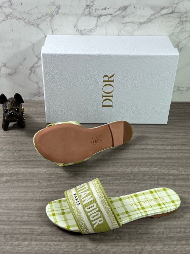 Dior Dway Slide Lime Pop Mizza Embroidered Cotton sandals