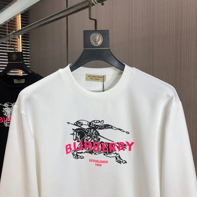 Burberry sweatshirt — 4
