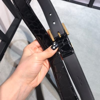 YSL Belt — 6