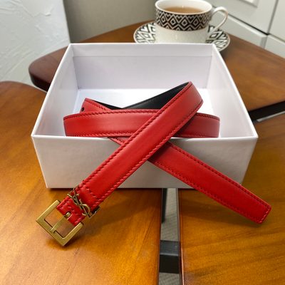 YSL Belt — 3