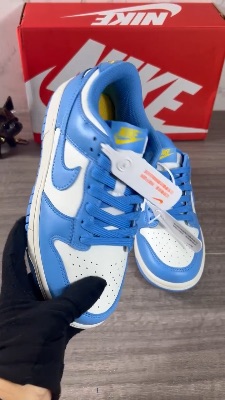 Nike Dunk Low "Coast" sneakers — 5