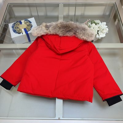 Canada Goose-style expedition winter parka jacket — 9