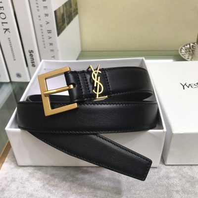 YSL Belt — 5