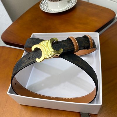 Celine Belt — 3