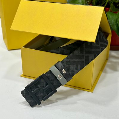 Fendi Belt — 4