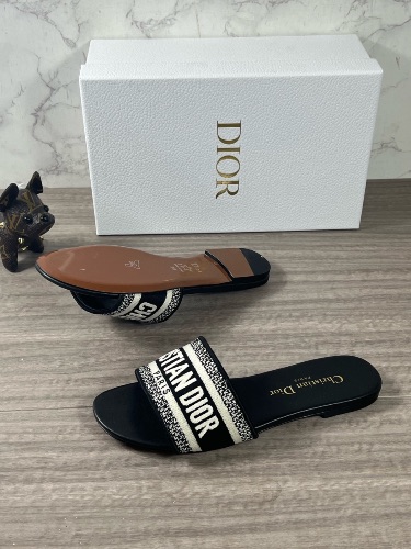 Christian Dior Dway Slides
