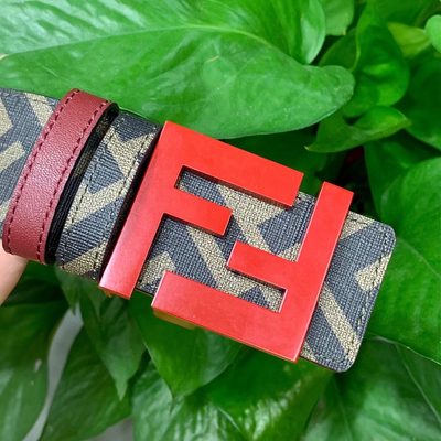 Fendi Belt — 8