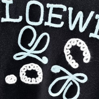 Loewe knit sweater — 6