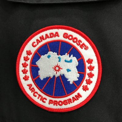 Canada Goose Expedition Parka in black — 5