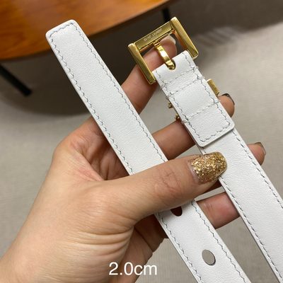 YSL Belt — 5