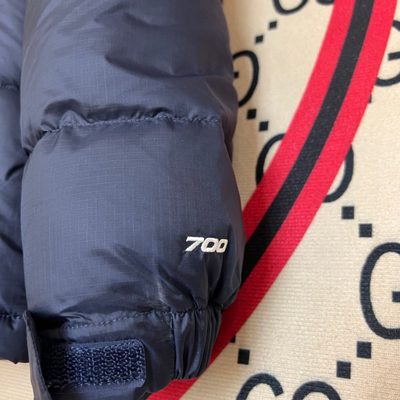 The North Face 1996 Retro Nuptse Puffer Jacket — 5