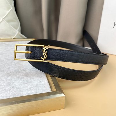 YSL Belt — 6